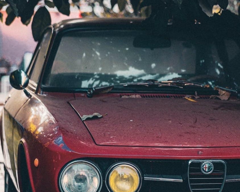 Black Stuff On My Car: Droppings, Spores, & Tree Sap